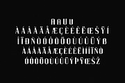 Heaven Mine Modern Serif Font, a Serif Font by Storytype Studio (Thumbnail 14 of 15)