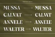 Callgest Display Font - 3 Styles, a Serif Font by Martype Co (Thumbnail 9 of 14)