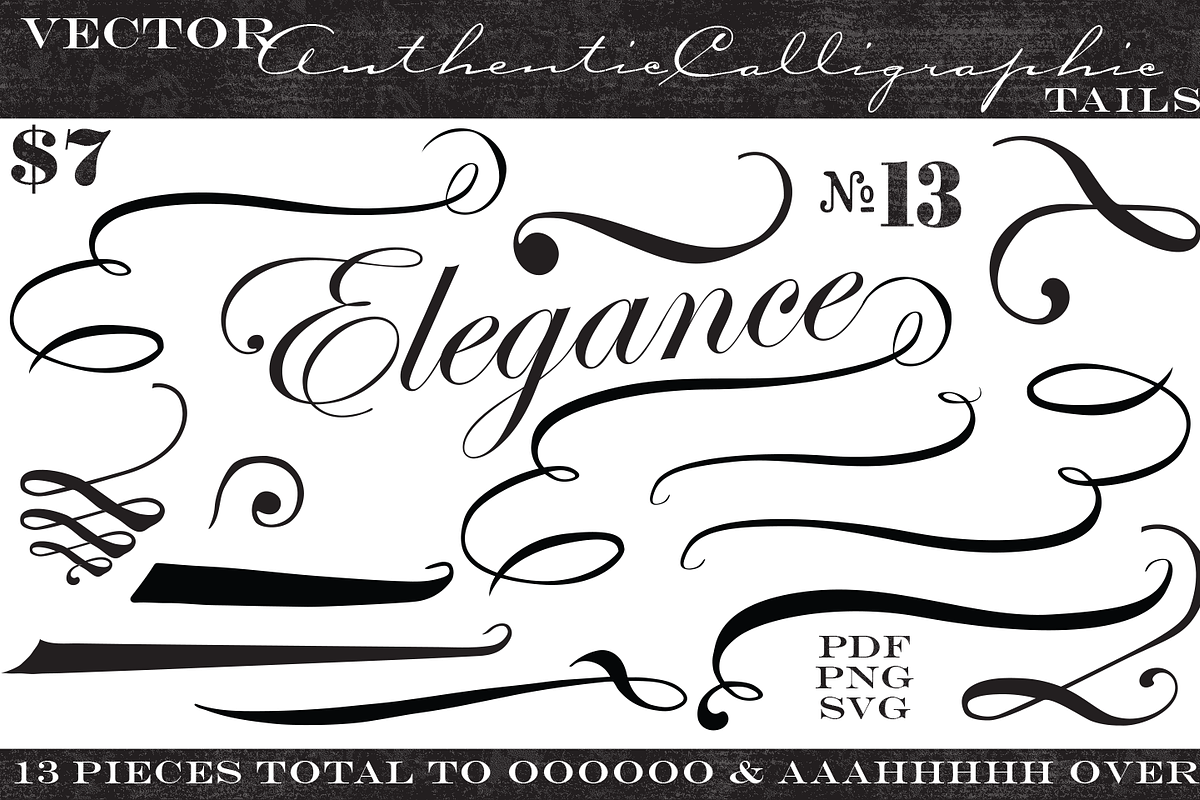 Vintage Vector Calligraphic Tails, a Graphic by shawnanonna