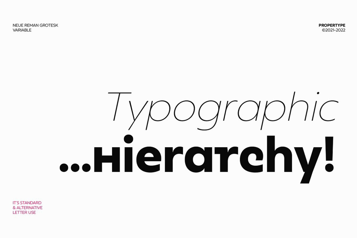 Neue Reman Grotesk, a Sans Serif Font by Propertype (Photo 5 of 14)