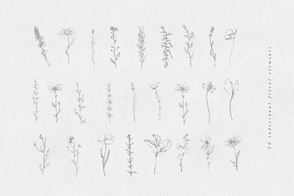 Sketched Floral Illustrations, an Illustration by With Love Ethel (Photo 6 of 6)
