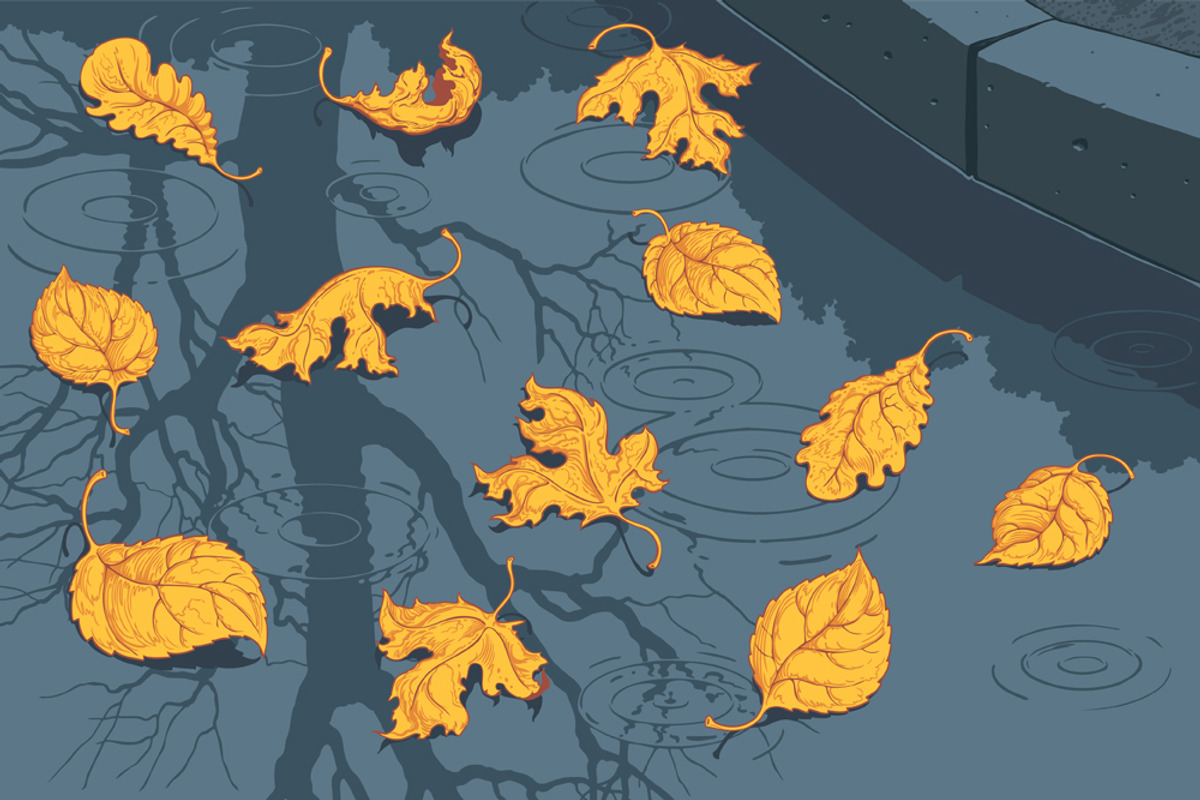 Puddle.Vector engraving, an Object Illustration by Vector Engraving (Photo 3 of 7)