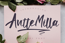 Antte Milla - Elegant Script Font