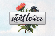 Kity Katrina Script Font, a Script Font by Design Dukkan (Thumbnail 4 of 14)
