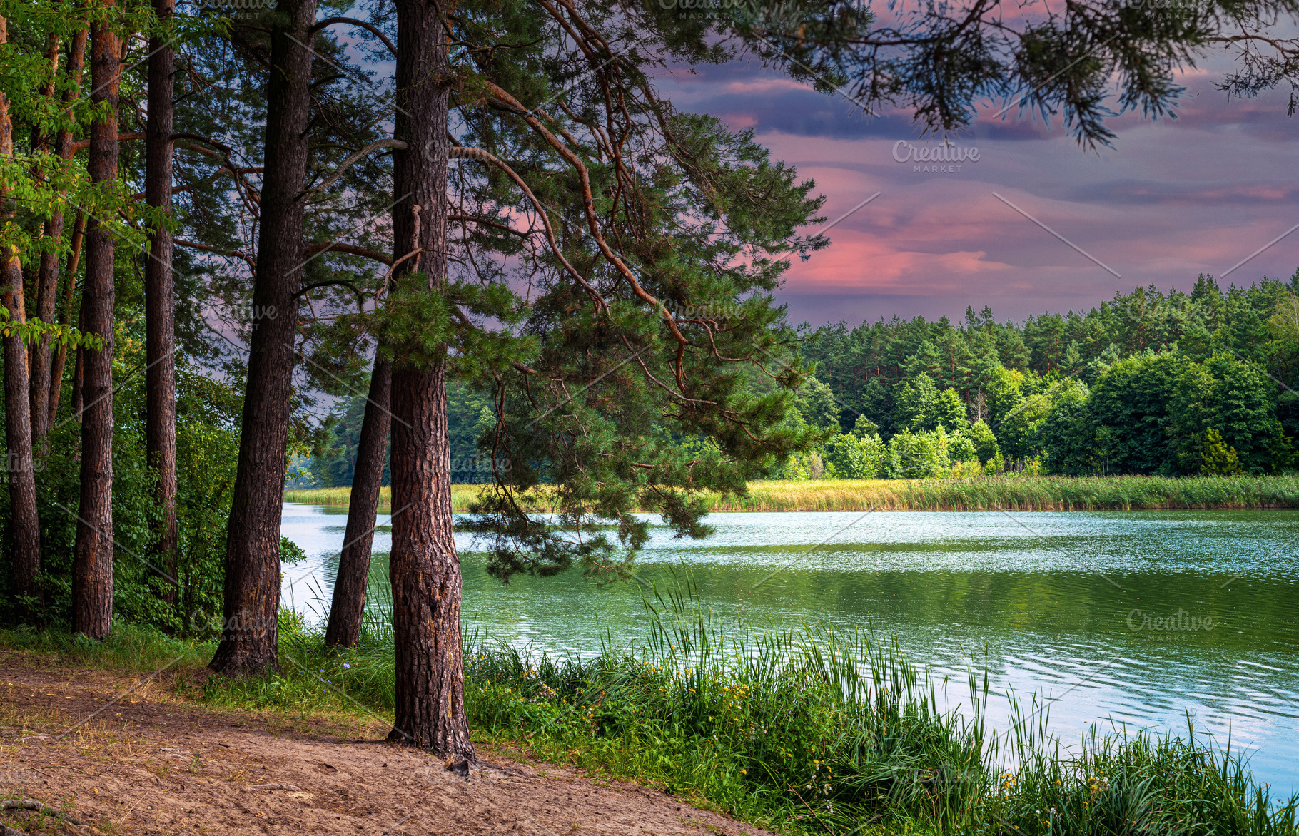 River in forest, a Nature Photo by LanaSweet