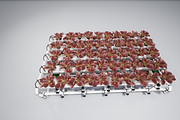 Hydroponics system LG, an Environmental 3D Model by AndrewWhite (Thumbnail 16 of 17)