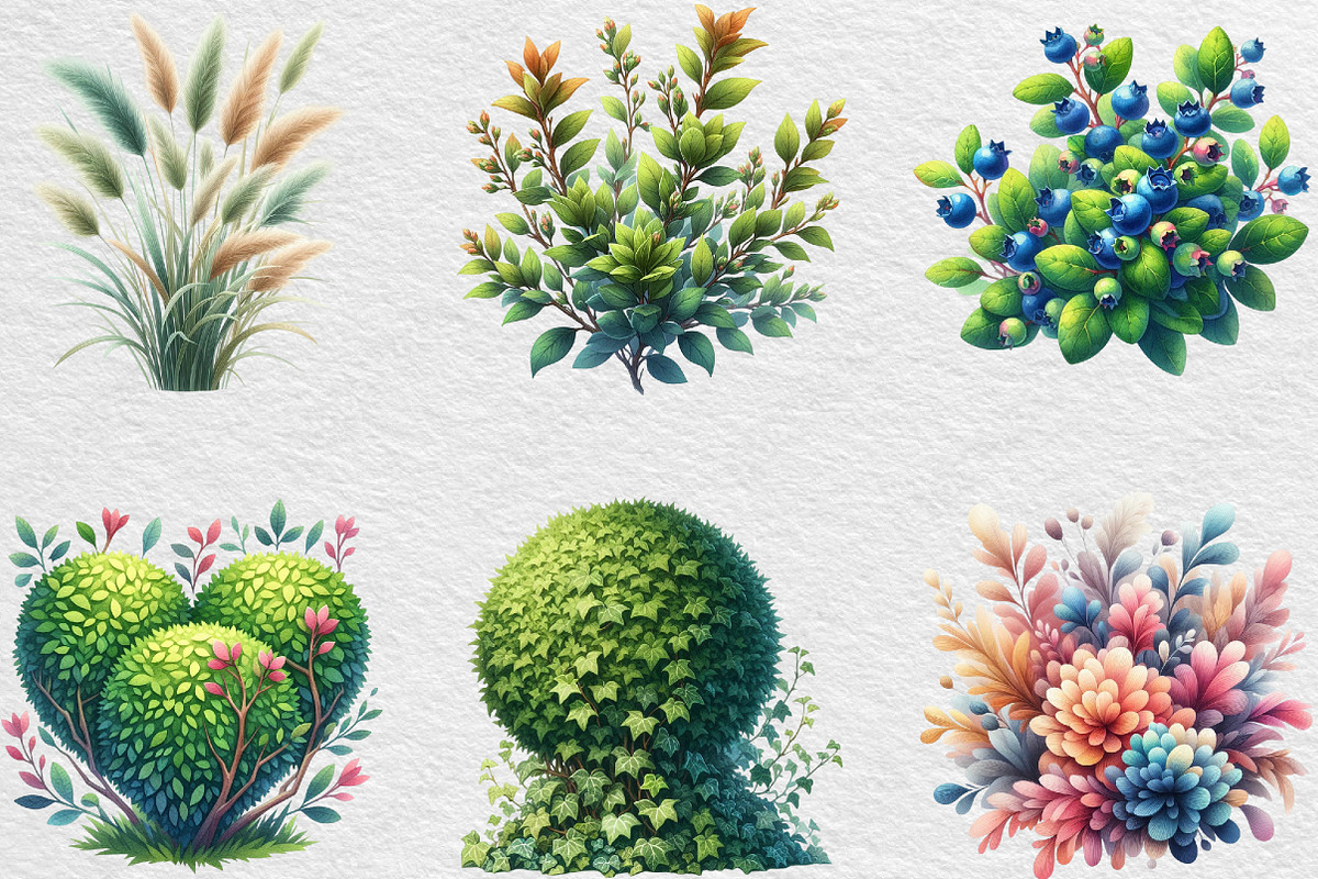 Watercolor Bushes Clipart Sublimatio, an Illustration by Black Bird Studio (Photo 5 of 6)