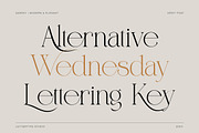 Qareky a Modern & Elegant Serif, a Serif Font by Lettertype Studio (Thumbnail 4 of 20)