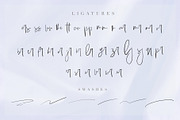 White Winter, a Script Font by Chocotype Std (Thumbnail 13 of 15)