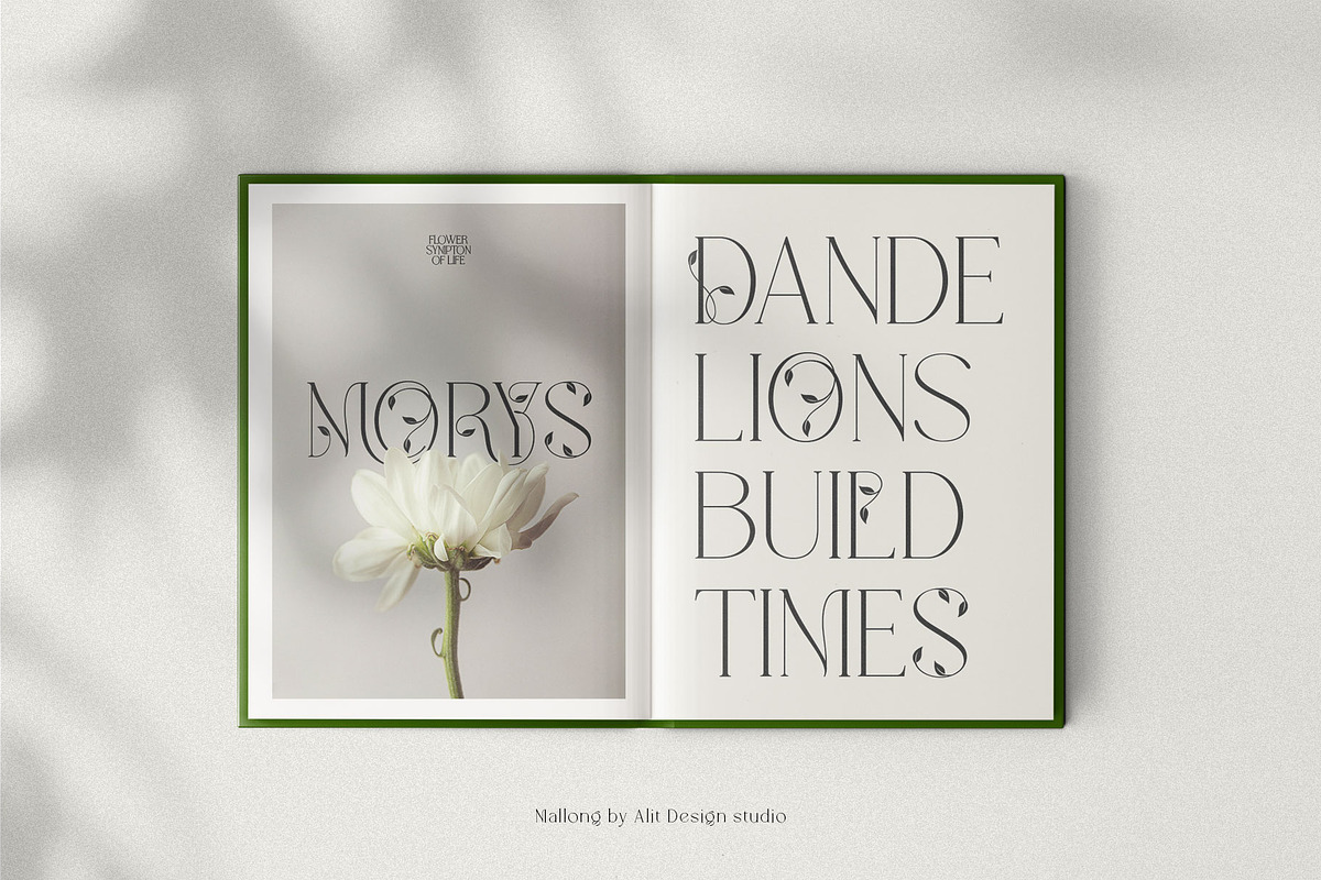 Mallong Typeface, a Serif Font by alit design (Photo 2 of 17)