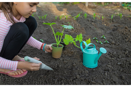 The child is planting a plant in the, a Nature Photo by yanadjana