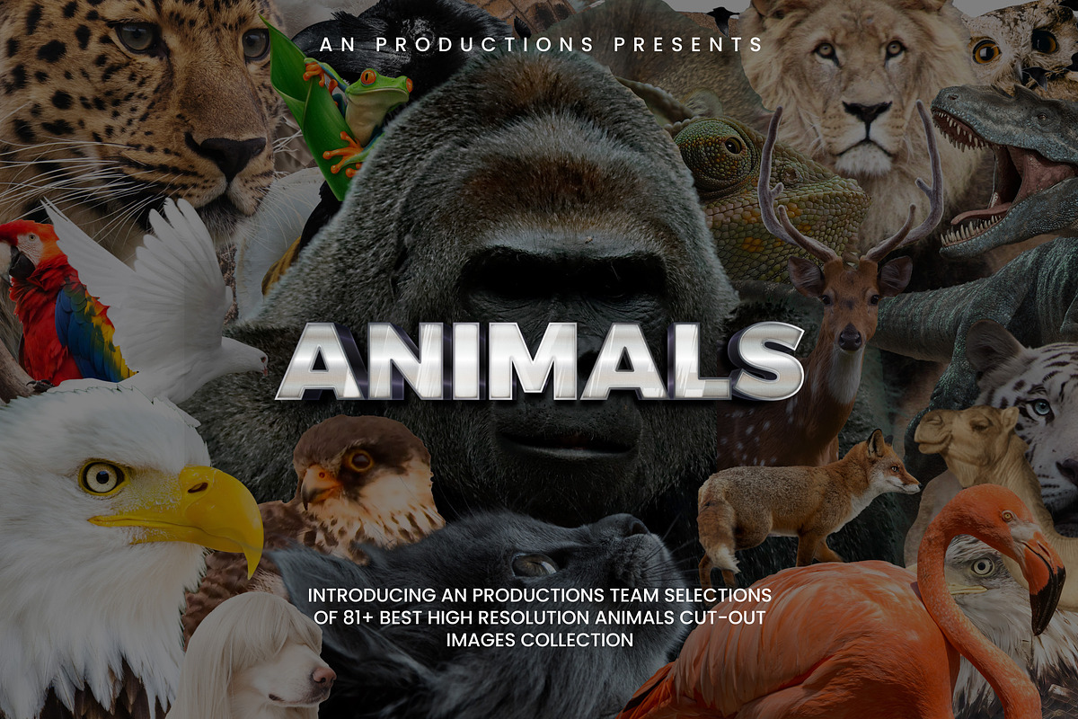 1775+ Mega Collage Creator Bundle, an Object Graphic by AN Productions (Photo 13 of 20)