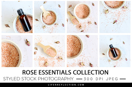 Stock Photography Rose Essentials