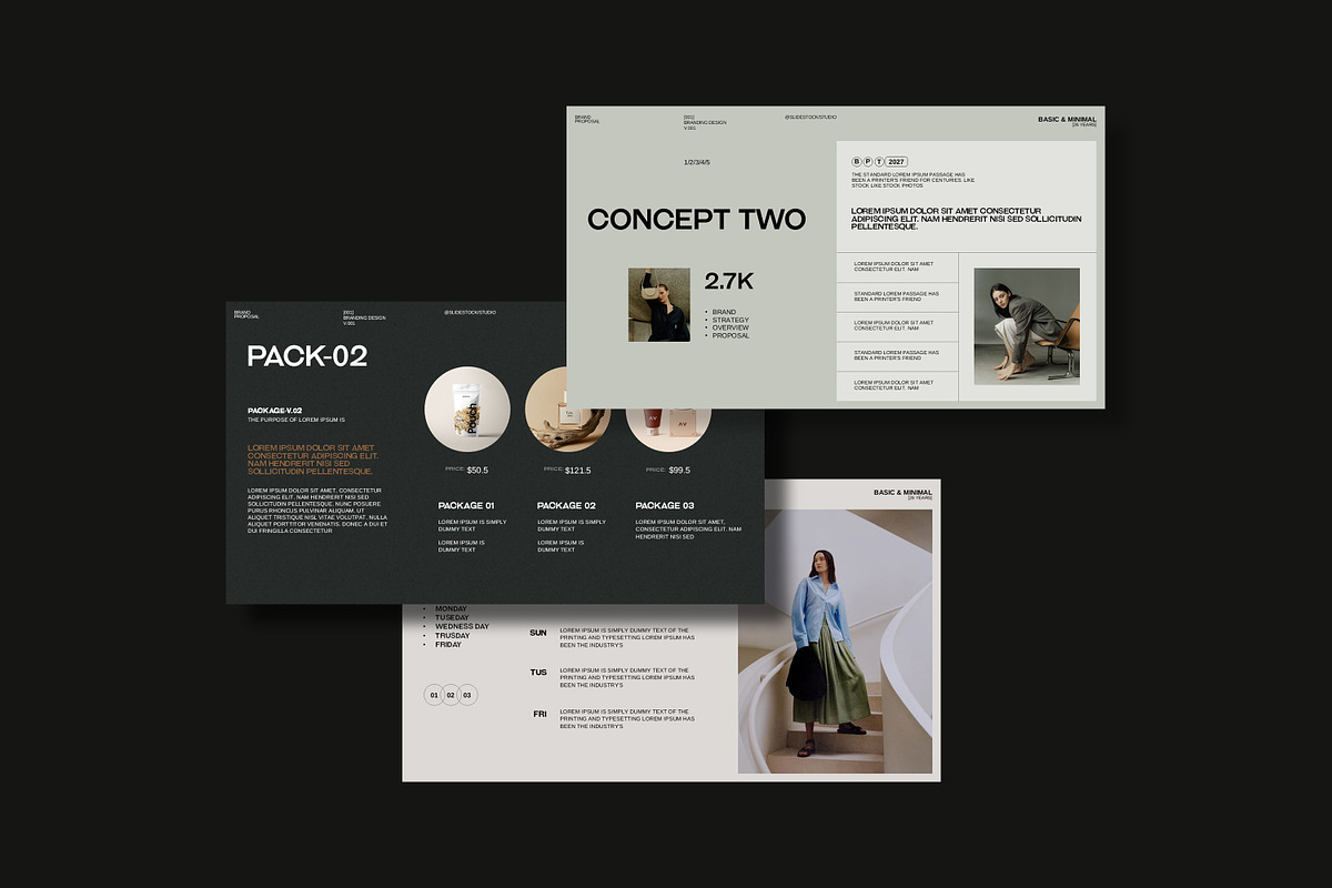 Brand Proposal Template, a Presentation Template by slidestock55 (Photo 8 of 13)