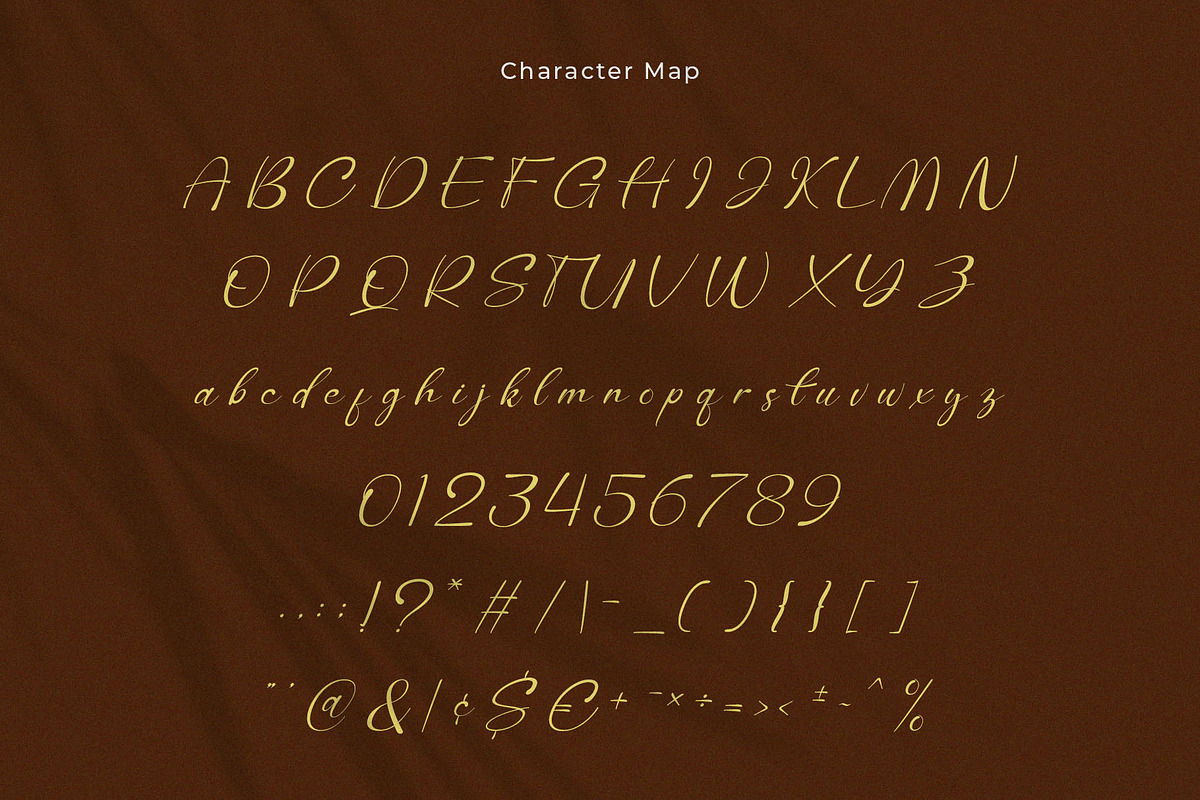 Selonika – Handwritten Script Font, a Handwritten Font by BrandSemut (Photo 10 of 11)
