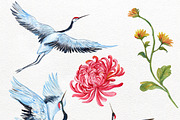 Cranes watercolor clipart, a Decorative Illustration by MitrushovaArt (Thumbnail 2 of 7)