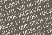 Salting - Handwritten Font, a Handwritten Font by Alpaprana (Thumbnail 2 of 9)