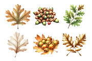 Acorns & Oak Leaves Clipart, an Illustration by Daily.Designs (Thumbnail 4 of 5)