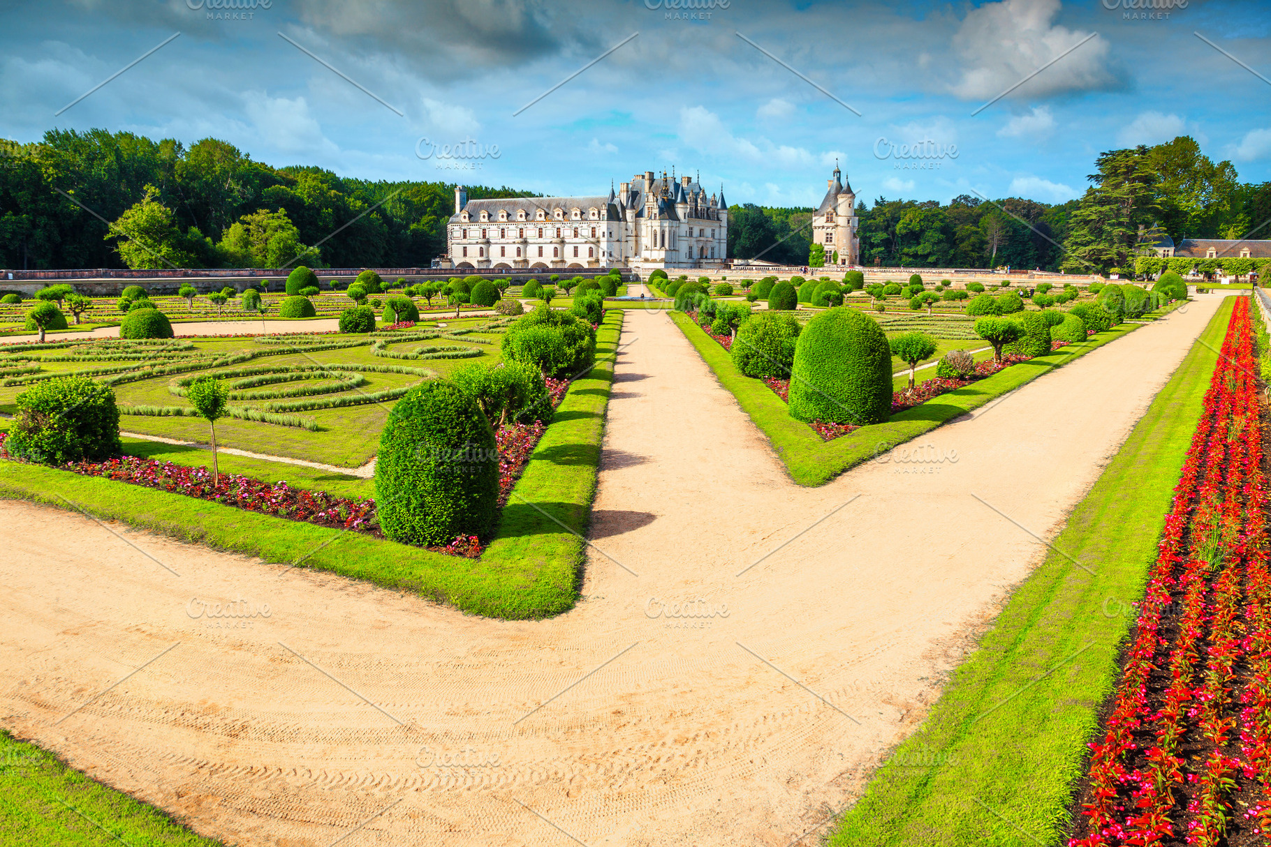 Fantastic royal castle of Chenonceau, an Architecture Photo by Alpine Dreams