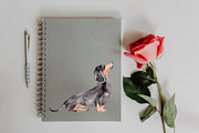 Wiener Dog Illustration, an Illustration by Foxery Digital (Thumbnail 4 of 4)