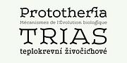 Leto Two, a Serif Font by Glen Jan (Thumbnail 4 of 10)