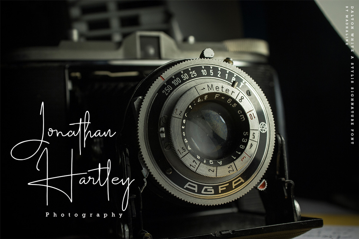 Dalton White 4 Font Style, a Script Font by Madhaline Studio (Photo 7 of 12)