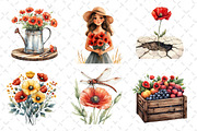 Summer Poppy Flowers Clipart, an Illustration by Dream Creation (Thumbnail 2 of 6)