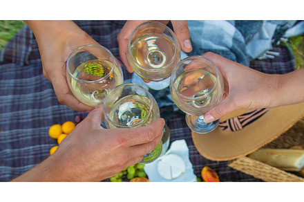 People friends on a picnic drink, a Person Photo by yanadjana