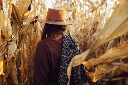 Stylish woman in autumn maize, back, a Person Photo by Sonjachni
