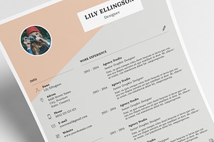 Lily Resume Template Cover