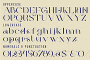 TIMELINE ACROSS - LUXURY FONT, a Serif Font by 177Studio (Thumbnail 7 of 8)