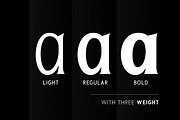 Seriously Display Serif (3 weights), a Serif Font by Letterhend Studio (Thumbnail 4 of 9)