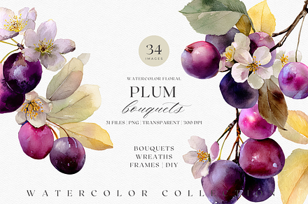 Watercolor Plum Bouquet Clipart