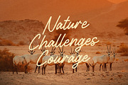 Rondly Vintage - Monoline Script, a Script Font by Graha Type (Thumbnail 2 of 12)