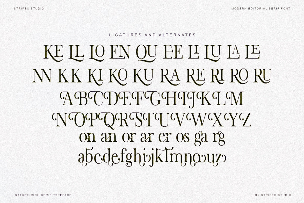 The Stripes Editorial + Italics, a Serif Font by Stripes Studio (Photo 7 of 23)