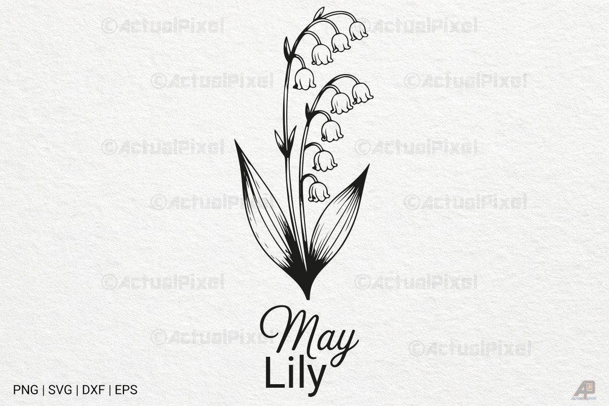 Birth Month Flowers SVG PNG Bundle, an Illustration by Actual Pixel (Photo 2 of 24)