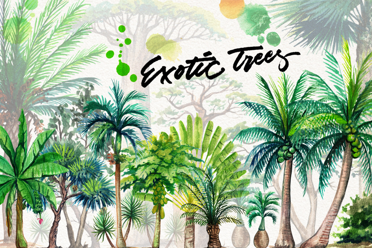 Watercolor Exotic Trees, an Illustration by Graphobia (Photo 2 of 11)