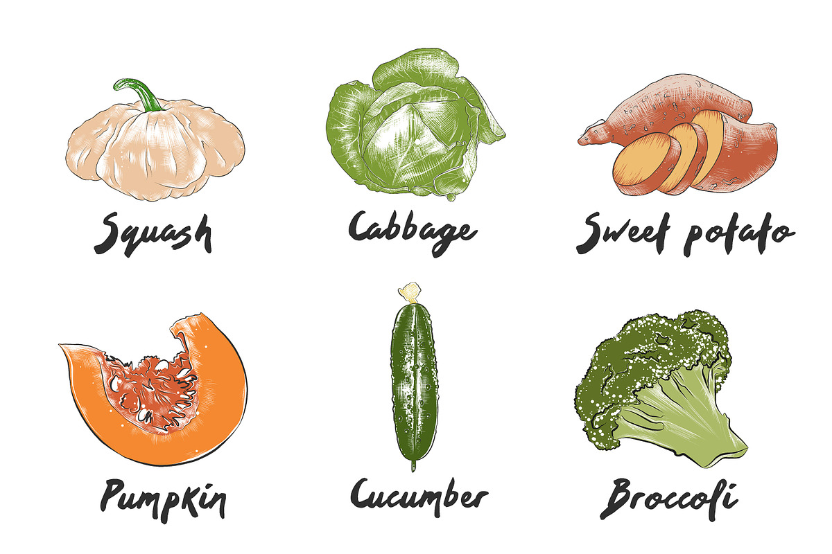 Set of 42 organic food sketches, a Food Illustration by Akimo Mia (Photo 4 of 8)