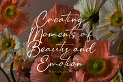 Aolona Christel Signature Font, a Script Font by Graphicxell (Thumbnail 4 of 8)