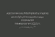 Ireland: A Hand-Lettered Font, a Sans Serif Font by Britt Fabello (Thumbnail 6 of 6)