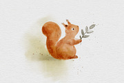 Realistic watercolor brushes - PS, a Brush Add-On by Jenteva Art (Thumbnail 10 of 11)