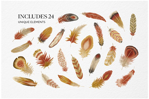 Feathers Watercolor Clipart