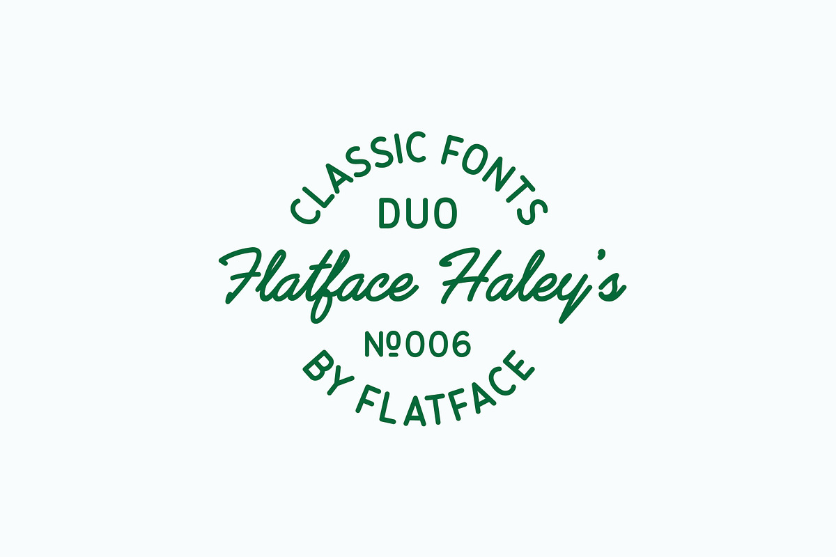 Flatface Haley's, a Script Font by Flatface (Photo 6 of 6)