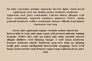 Bungalow Typeface - 9 fonts, a Serif Font by VP Fonts (Thumbnail 3 of 19)