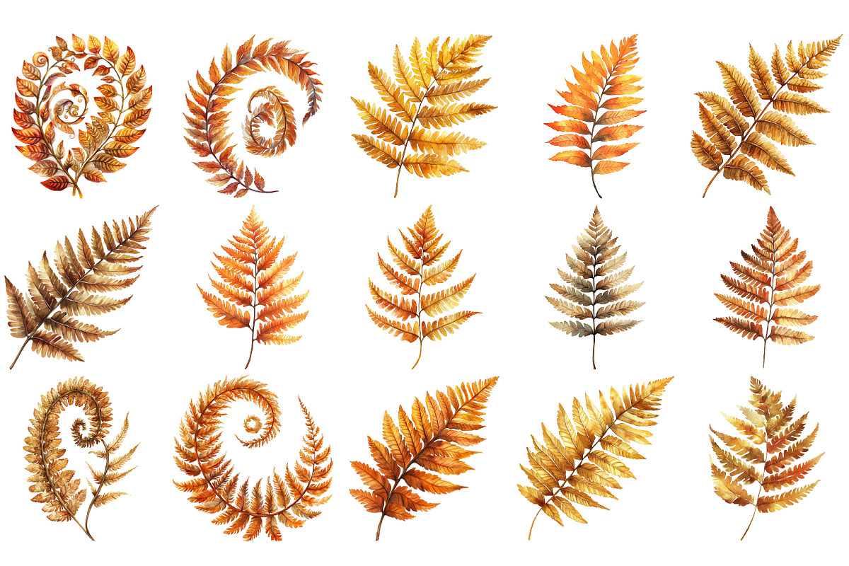 Fall Ferns Clipart Bundle, an Illustration by Pixels.Craft (Photo 2 of 4)