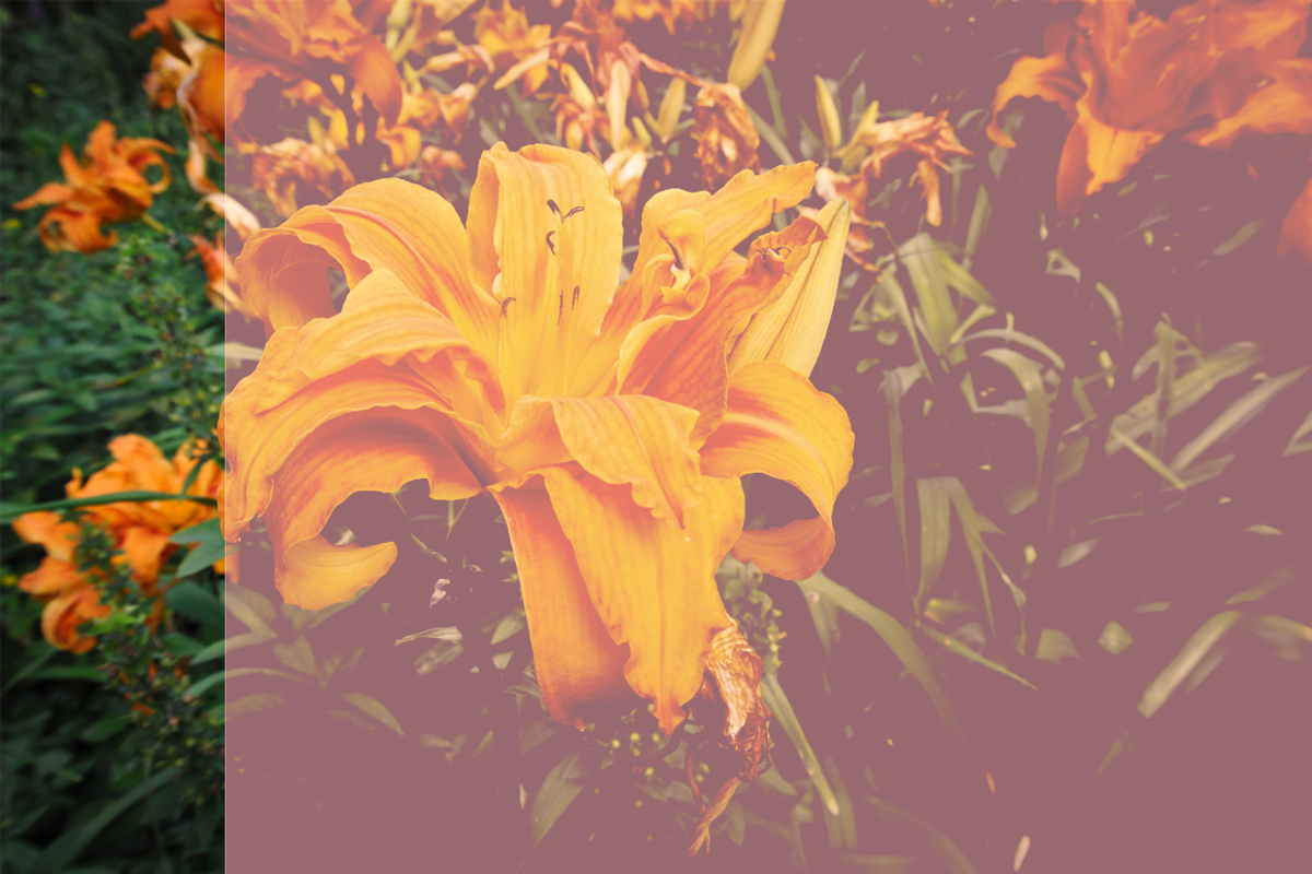 Vintage Premium Photo Effects #5, an Action Add-On by Mike Moloney (Photo 4 of 5)