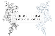 Line Art Floral Clipart, a Decorative Illustration by AW Studios (Thumbnail 6 of 11)