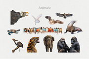 250+ Elements - Collage Creator Pack, an Object Graphic by Digi Life (Thumbnail 12 of 32)