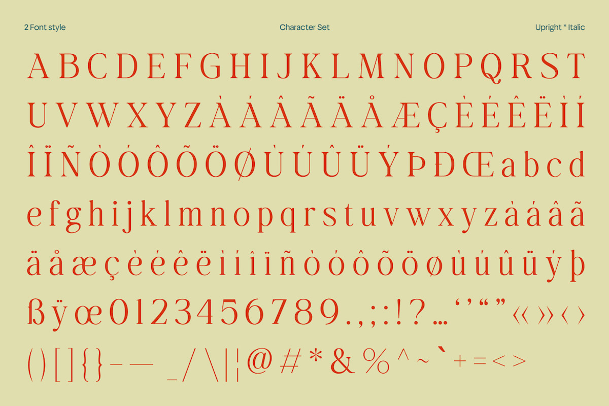 Dalven Goofler – Vintage Elegant, a Serif Font by Casloop Studio (Photo 7 of 10)