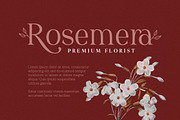Redrains - Modern Serif Family, a Serif Font by Sarid Ezra (Thumbnail 4 of 9)